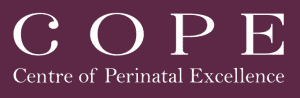 Geelong Psychologist Perinatal