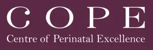 Geelong Psychologist Perinatal